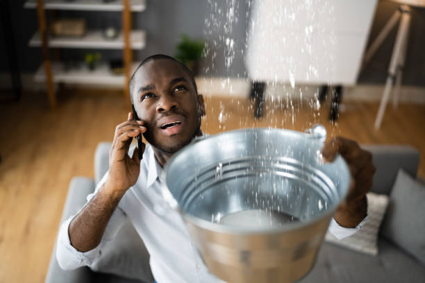 Best Water damage restoration insurance claims  in Wheeler, TX