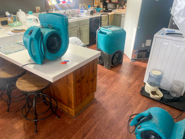 Best Sewage cleanup and water damage restoration  in Wheeler, TX