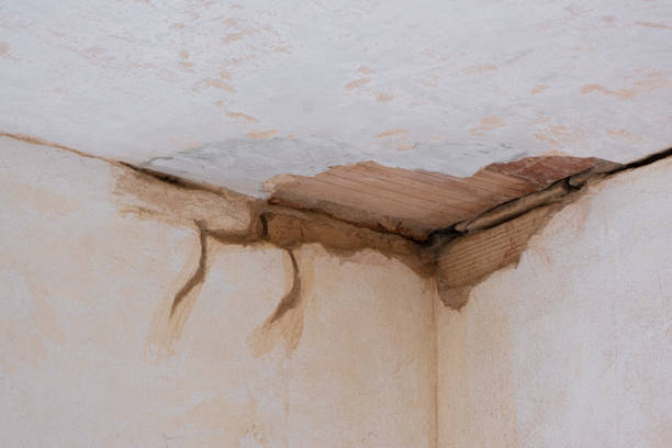 Best Water damage restoration services  in Wheeler, TX