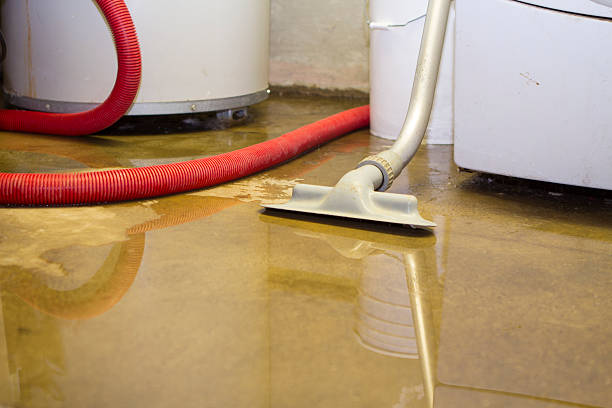 Best Basement water damage restoration  in Wheeler, TX
