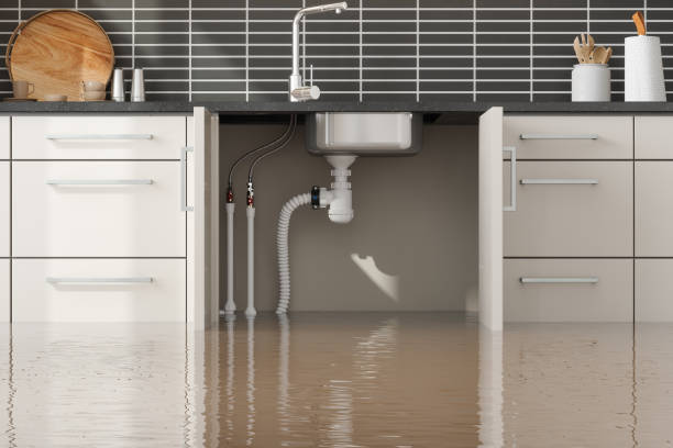Best Flooded house restoration  in Wheeler, TX